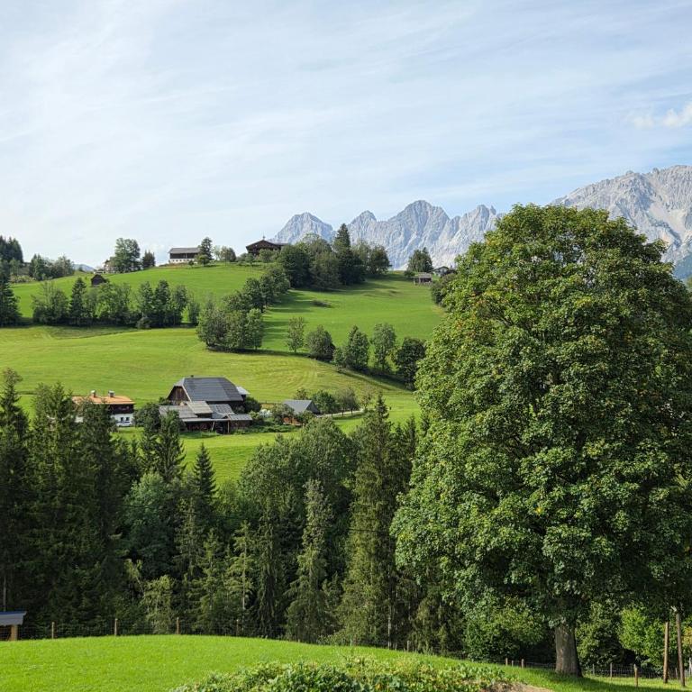 Ferienhaus Almfrieden - Ferienhaus - 21