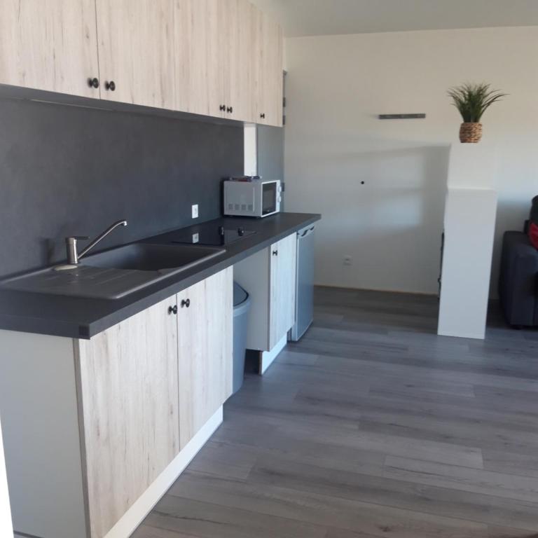 Gambetta Insolite - Appartement 1 Chambre - 7