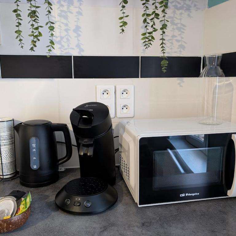 T2 tout confort, cité, parking - Apartment mit 1 Schlafzimmer - 7