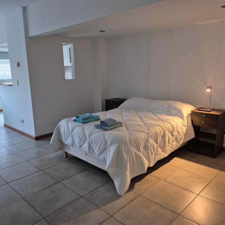 Moderno y luminoso Departamento zona Guemes con cochera - One-Bedroom Apartment - 3