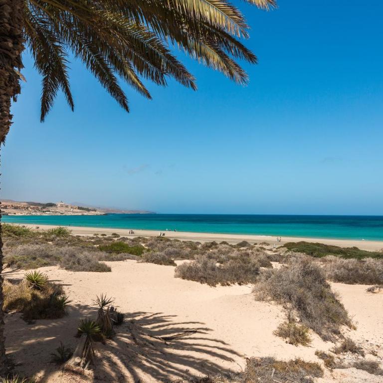 Costa Calma Rio 2 Barca Beach - Apartamento de 1 dormitorio - 17