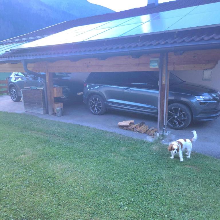 Mölltaler Ferienhäuser - Chalet mit 3 Schlafzimmern - 9