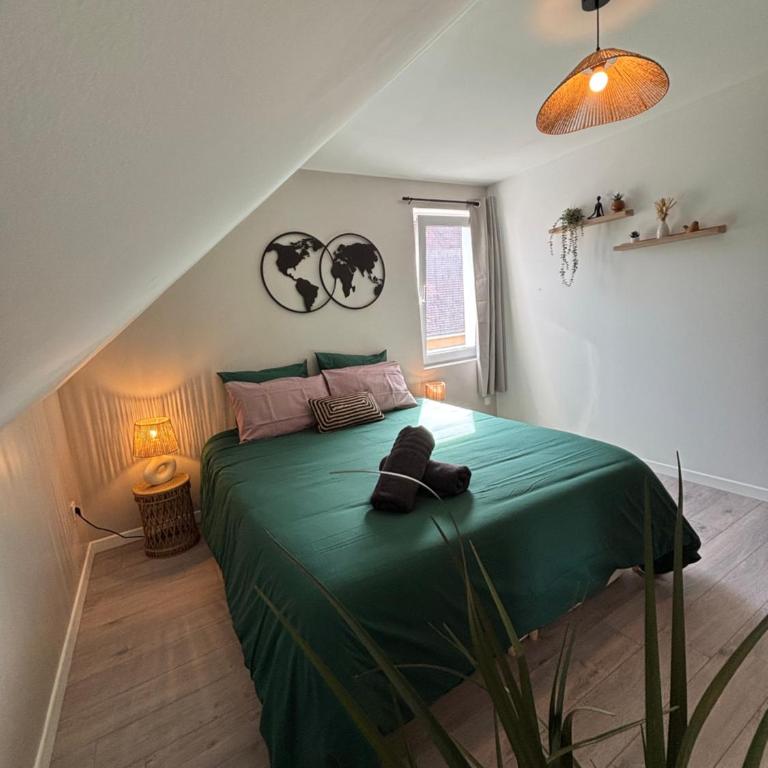 Le Col'Vert - Appartement 50m2 - Colmar Centre - One-Bedroom Apartment - 8