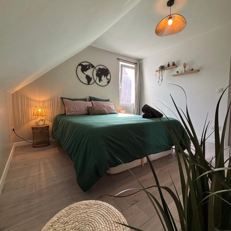 Le Col'Vert - Appartement 50m2 - Colmar Centre - One-Bedroom Apartment - 7