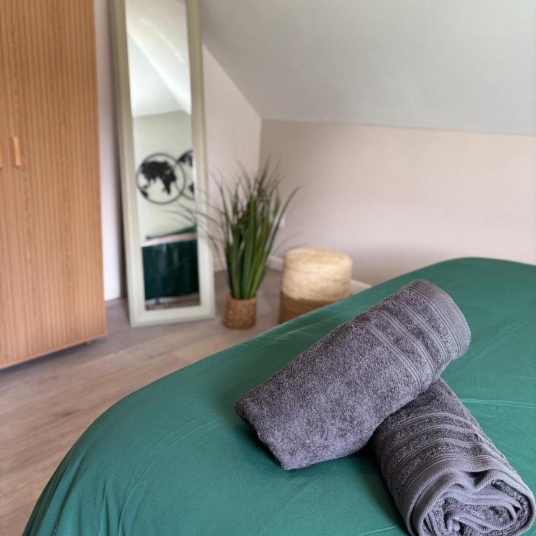 Le Col'Vert - Appartement 50m2 - Colmar Centre - One-Bedroom Apartment - 2