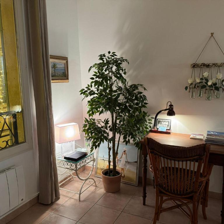 Sanary appartement 2-4 personnes à deux pas du port - Appartamento con 1 Camera da Letto - 11