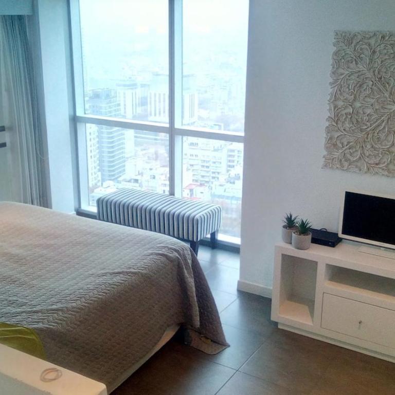 Palermo penthouse - Apartamento de 1 dormitorio - 53