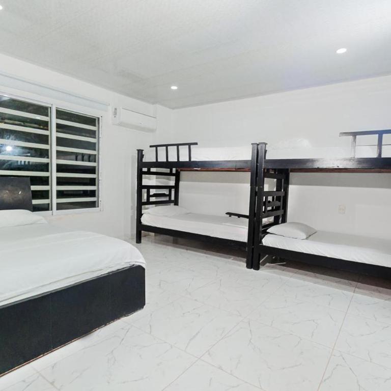 Hotel - bahia conchas campestre - PARQUE TAYRONA - Family Room - 4