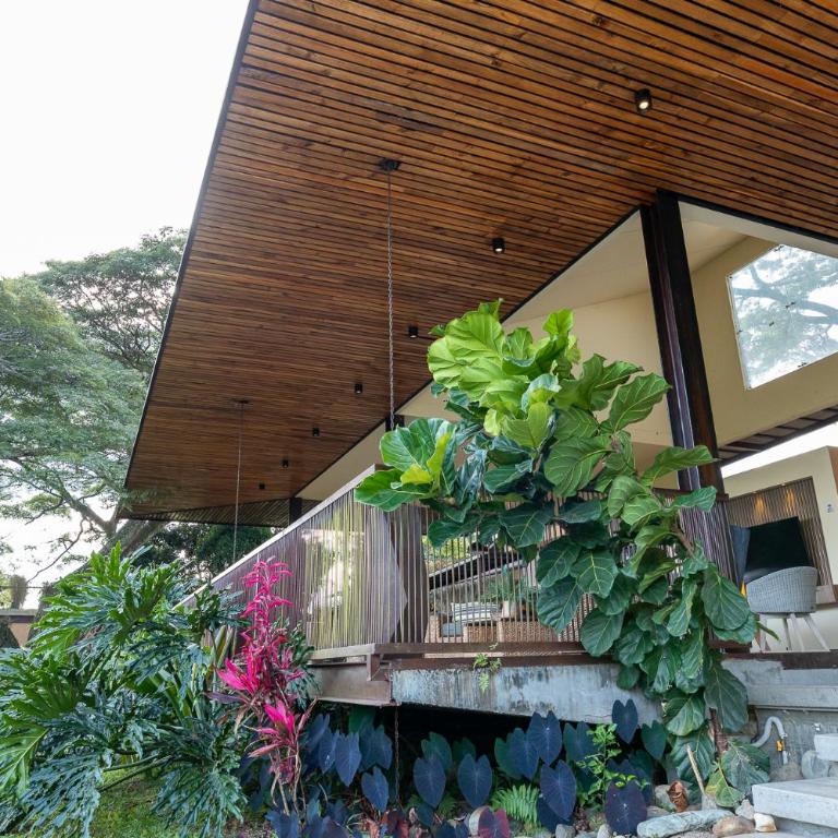 Finca La Mesa Un Paraíso de Naturaleza y Confort en el Eje Cafetero - Villa con piscina privada - 66