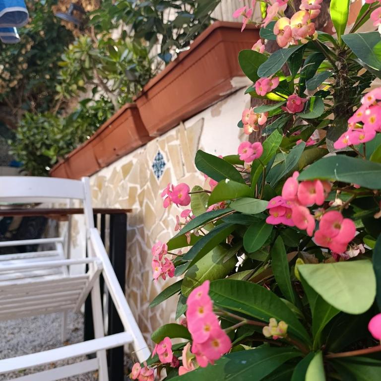 DA FEDERICA Casa Vacanze BAIA PORTO DELLE GENTI - Appartamento con 2 Camere da Letto - 21