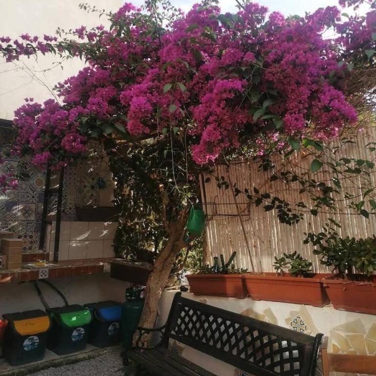 DA FEDERICA Casa Vacanze BAIA PORTO DELLE GENTI - Appartamento con 2 Camere da Letto - 7