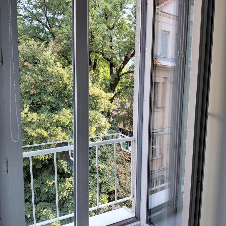 The Pedestrian Street Studio - Apartman sa 1 Spavaćom Sobom - 13