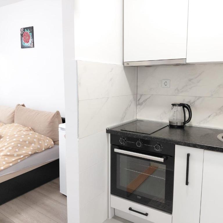 The Pedestrian Street Studio - Apartman sa 1 Spavaćom Sobom - 7