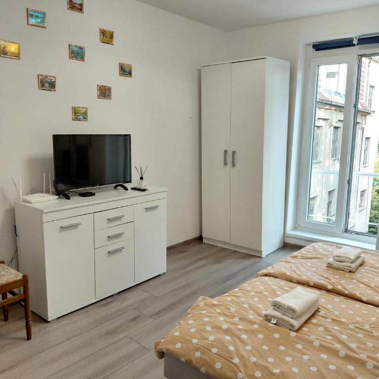 The Pedestrian Street Studio - Apartman sa 1 Spavaćom Sobom - 8