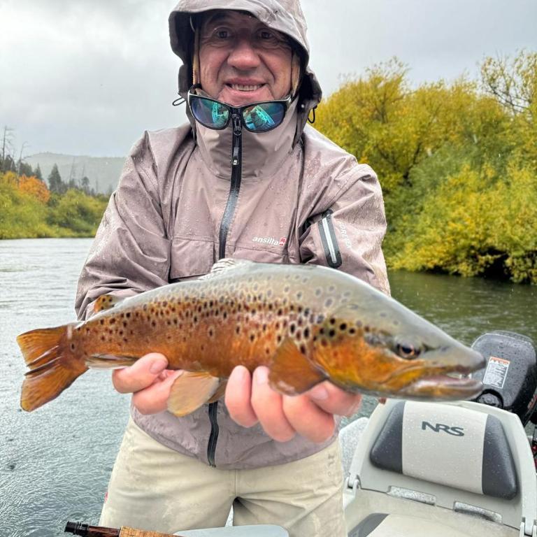 Cabañas De La Ribera - Apartamento de 1 dormitorio - 28