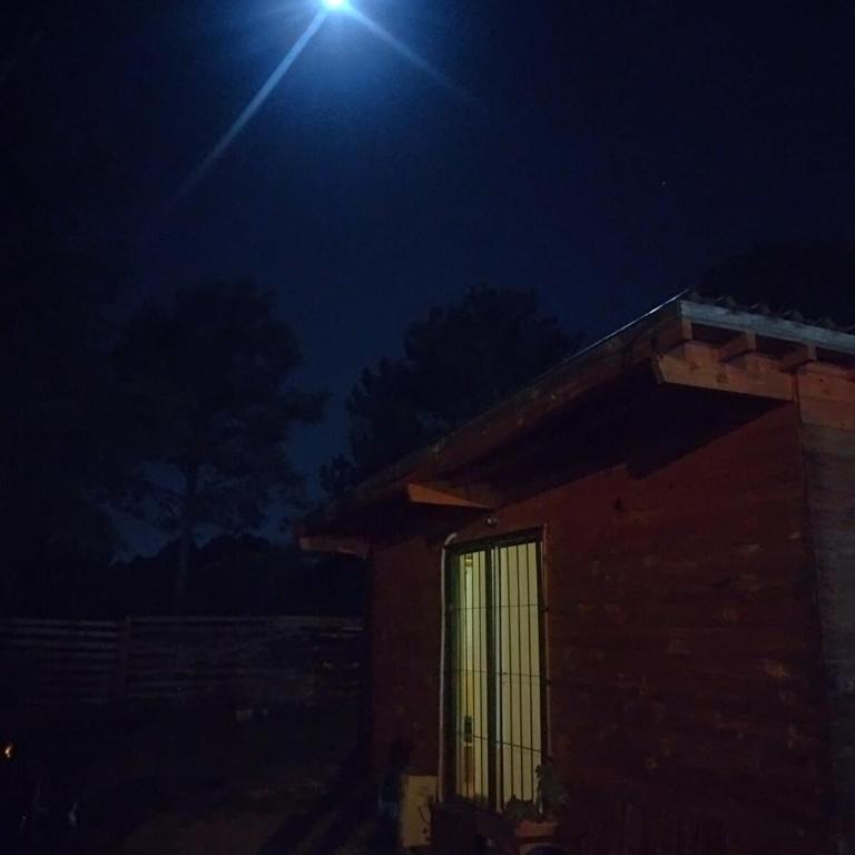 Beautiful romantic cabin for a relaxing getaway - Casa con 1 dormitorio - 10