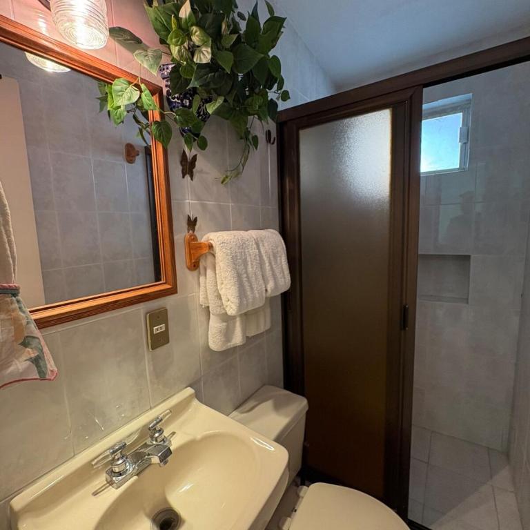 Fun House Tampiquito - Two-Bedroom Villa - 11