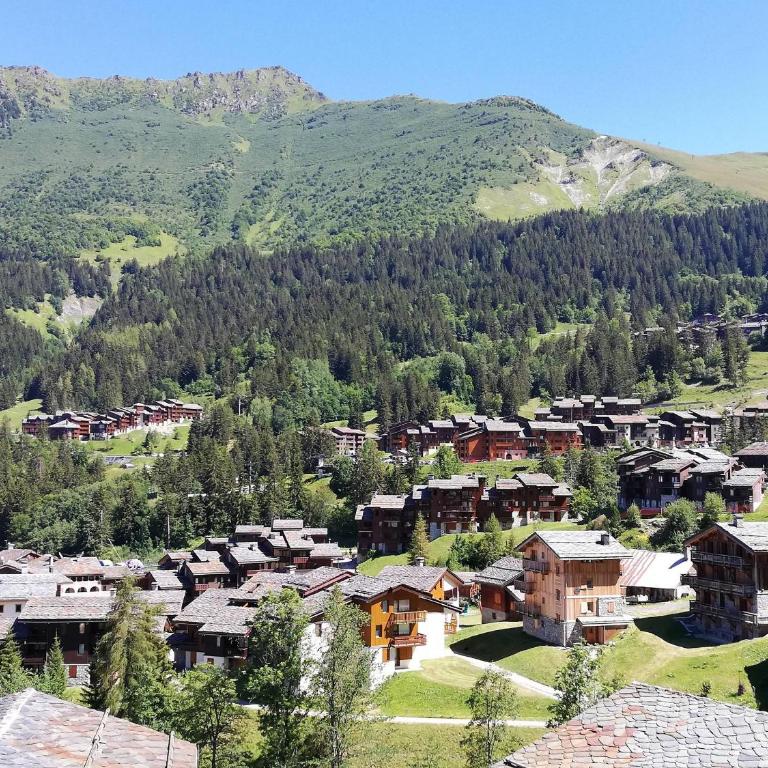 Charmant appartement 27m², proche pistes Valmorel, calme - Studio - 3