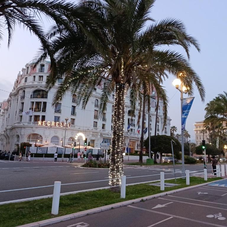 Séjour chambre chez l'habitant 200 m mer plages Promenade des Anglais - Appartement - Rez-de-Chaussée - 26