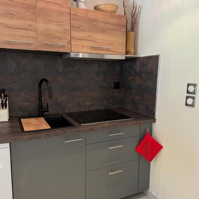 Villa Theolina Maisonnette lumineuse avec jardin, parking privé au calme à Aix - Casa con 2 Camere da Letto - 11