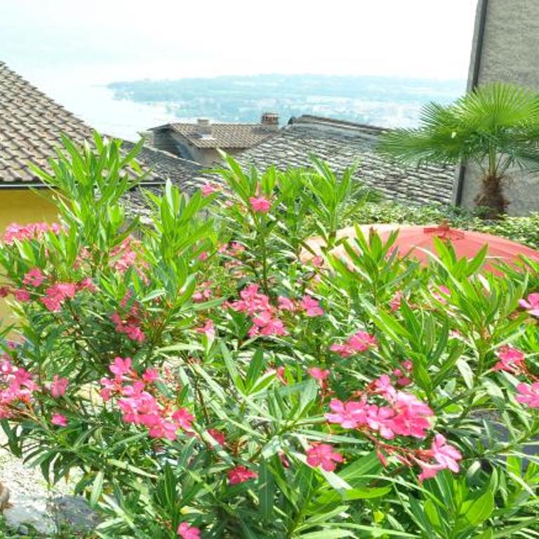 Casa Grillino - Studio (2 Erwachsene) - 10