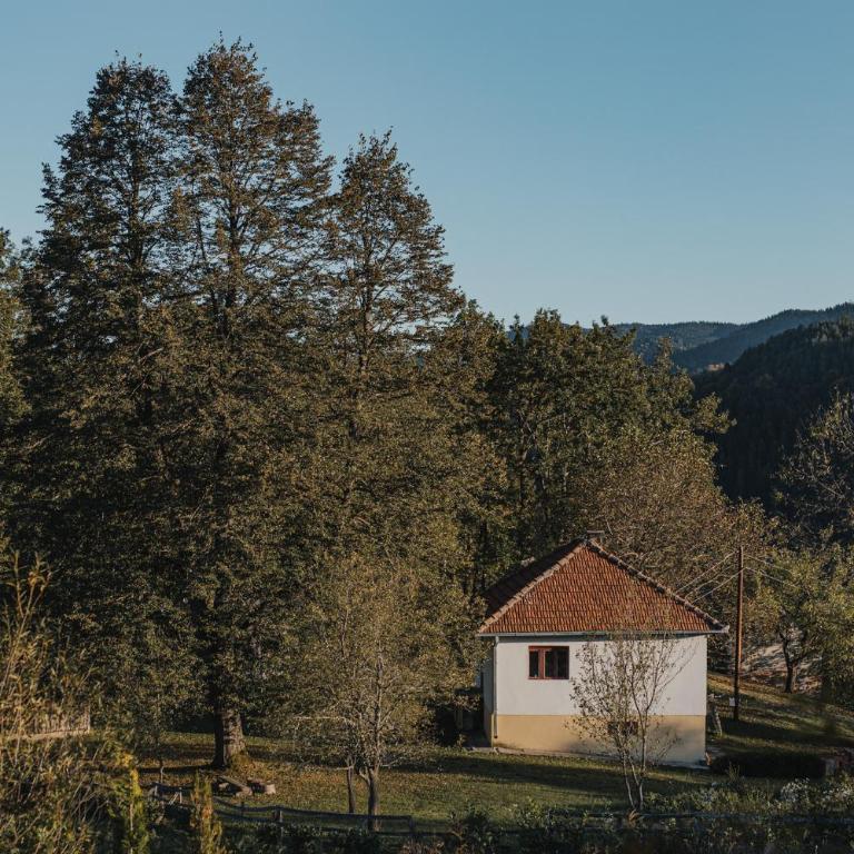 Foreside Escape Montenegro - Two-Bedroom Apartment with Mountain View - 25