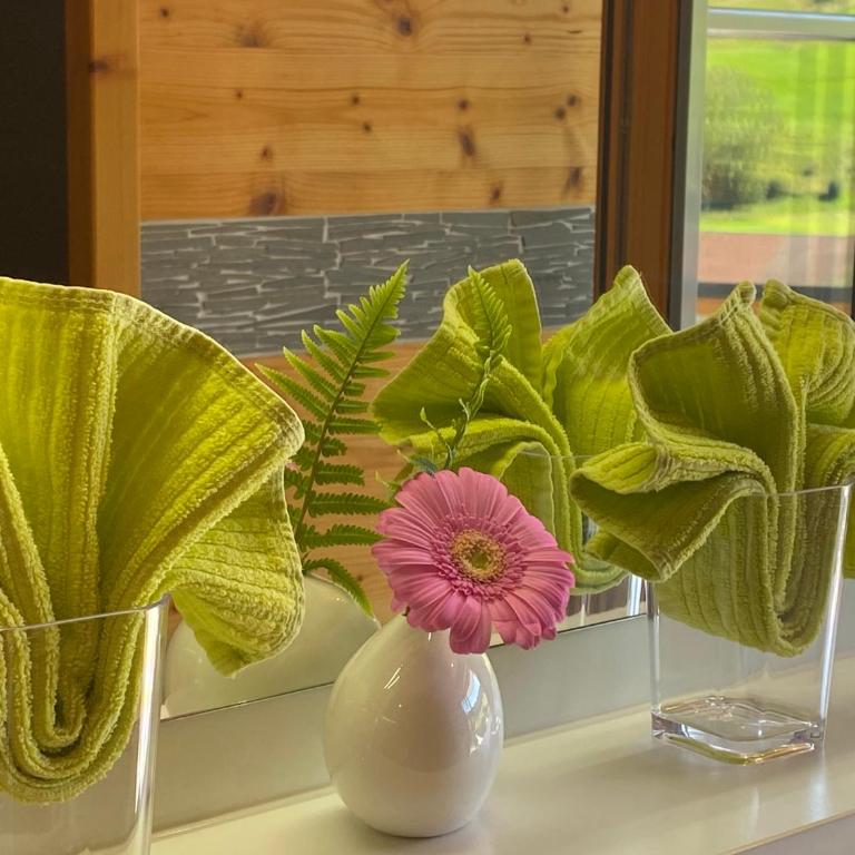 MEB Appartement, luxuriöses Appartement, im Chalet-Stil nur für Zwei, mit privater Sauna im Oberallgäu - Apartment mit Blick auf die Berge - 37