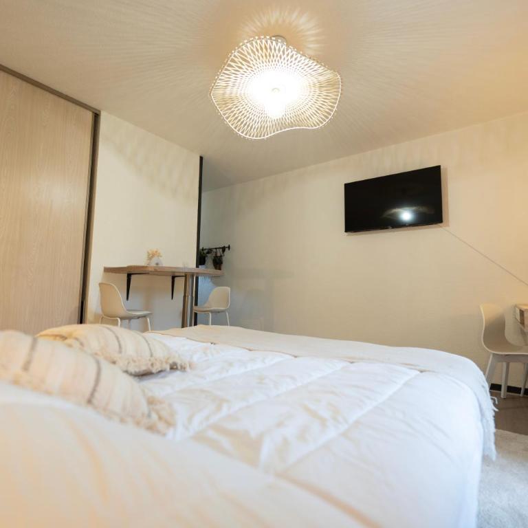 Le Davin - Parc Paul Mistral - Stade des Alpes - Apartamento de 1 dormitorio - 14