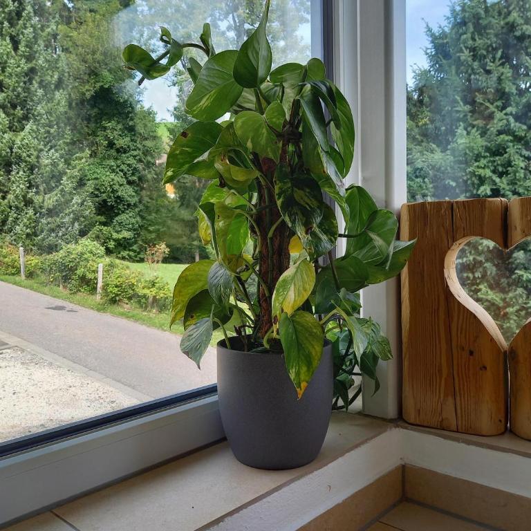 Bergzauber Ofterschwang - Apartment mit 2 Schlafzimmern - 6