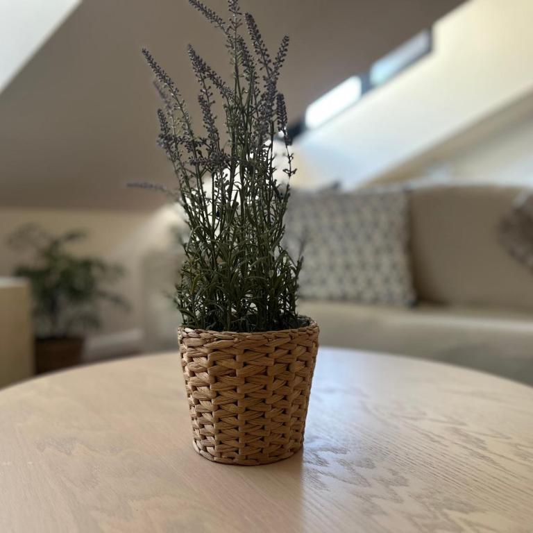 Ático en el centro de Llanes - Two-Bedroom Apartment - 7