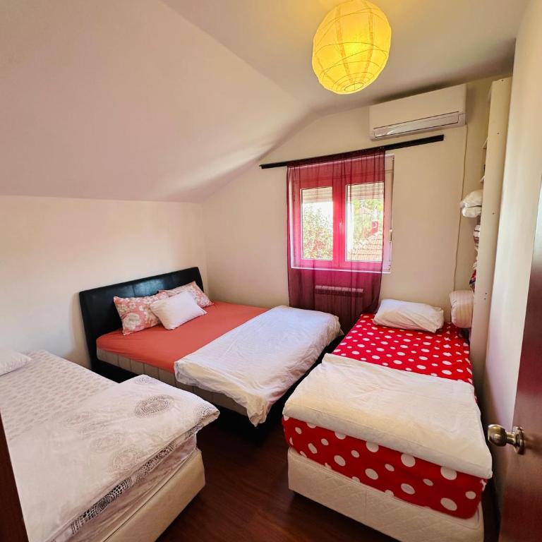 House of peace - Apartment with Terrace - 8