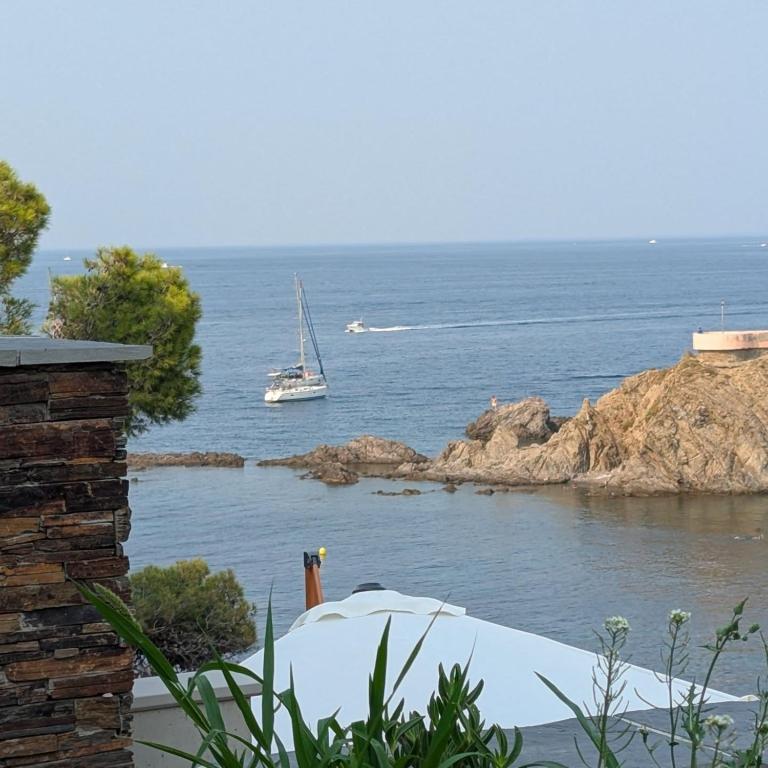 Apart Berenice Collioure Cote Vermeille Piscine Crique Terrasse Vue Mer - Appartement 1 Chambre - 38