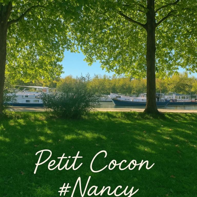 Petit cocon cosy proche place Stanislas-Parking & cave vélos - Appartement 1 Chambre - 22