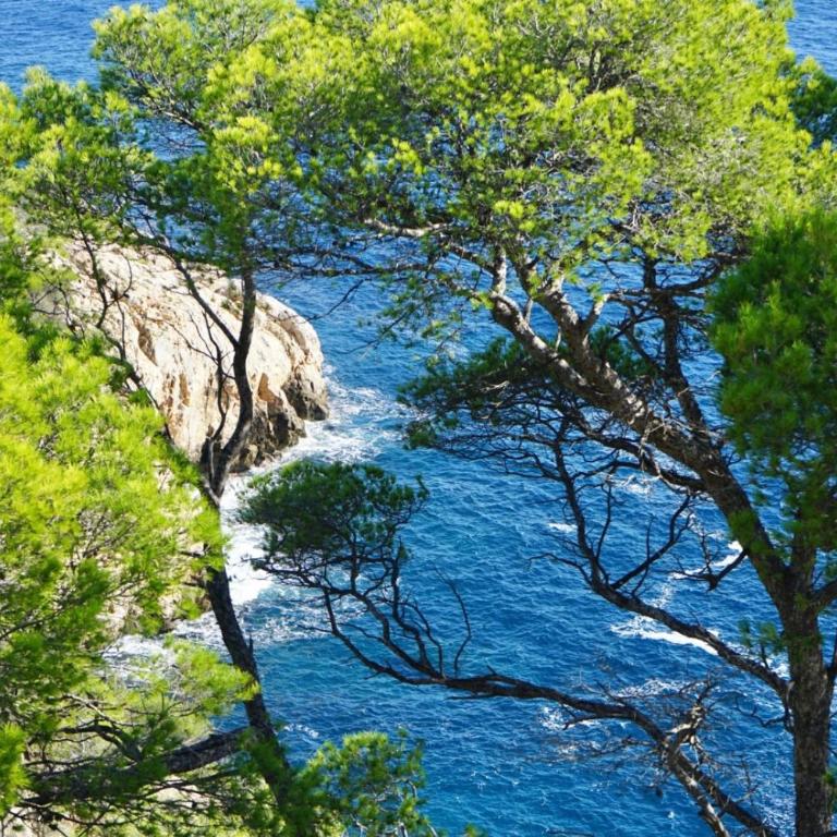 Grande villa familiale vue mer avec piscine - domaine privé à St Cyr sur Mer - Villa avec Piscine Privée - 79