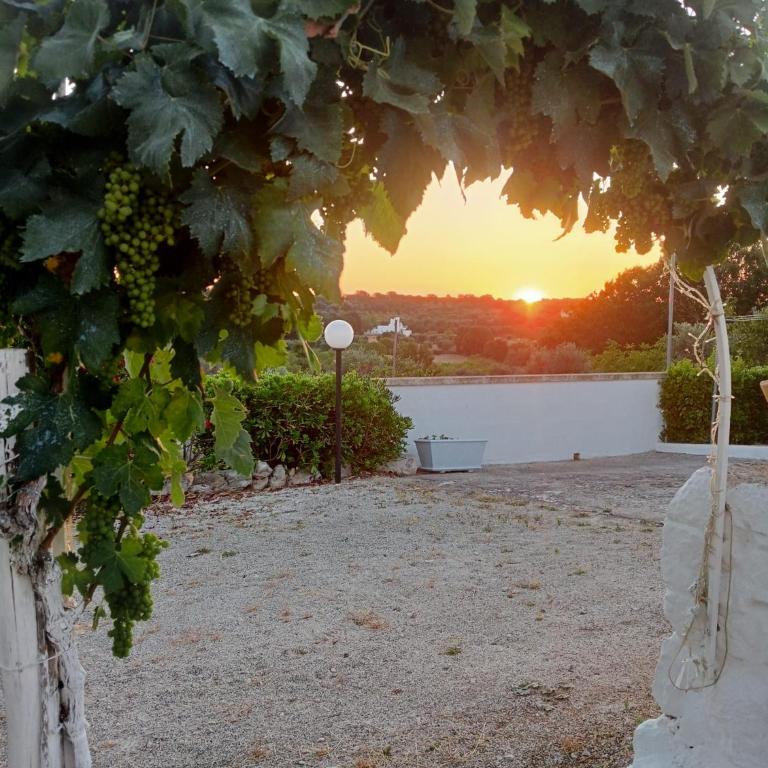 Trullo Tre Coni - Casa con 1 Camera da Letto - 20