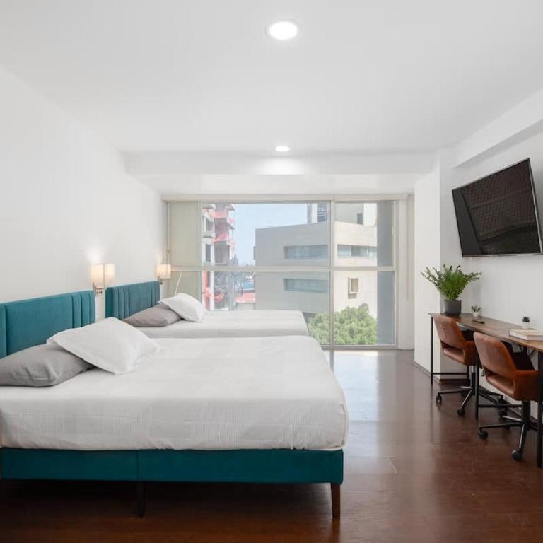 Hidden Gem Collection Interlomas - Apartamento - 6