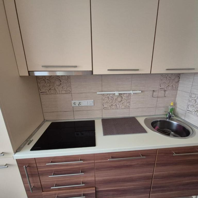 SarajVista at 507 - Apartman sa 1 Spavaćom Sobom - 7
