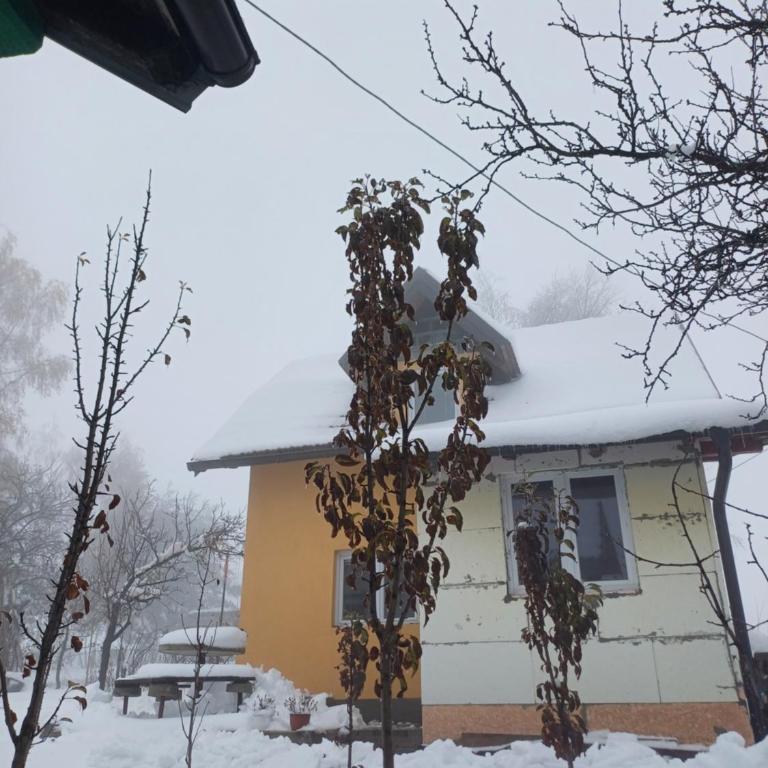 Zlatiborska noć - Kuća sa 2 Spavaće Sobe - 16