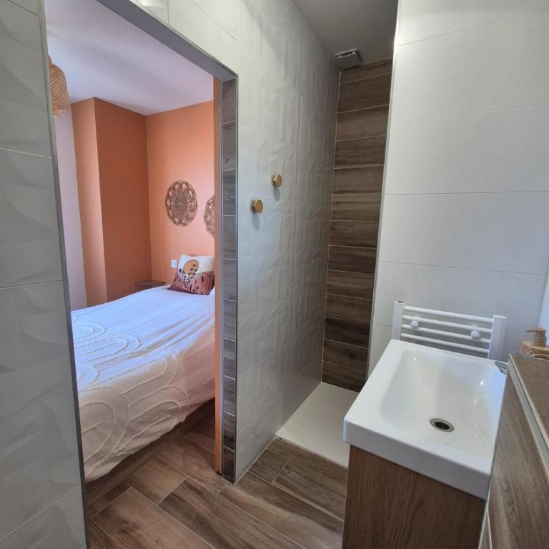 Appartement T2 avec jardin - Saint Maurice l'Exil - Appartement 1 Chambre - 9