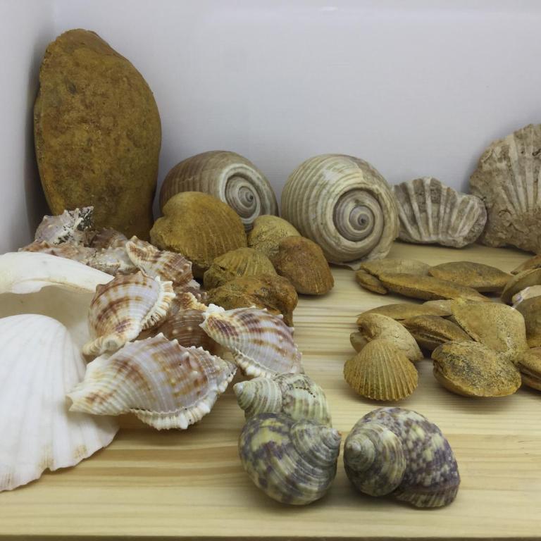 Il mare in un Boccaccio - Casa Vacanze - 35