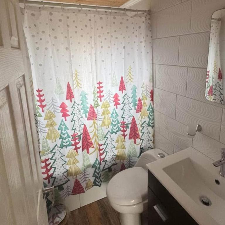 Hospedaje fluvia - Casa con 1 dormitorio - 5