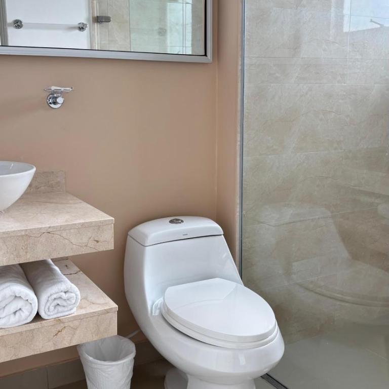 Apartamentos Amoblados-Atlantis Suites Bquilla - Habitación Deluxe - 1 cama grande - 2