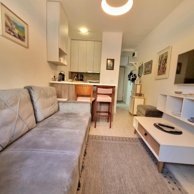 Manjastan - Apartman sa 1 Spavaćom Sobom - 3
