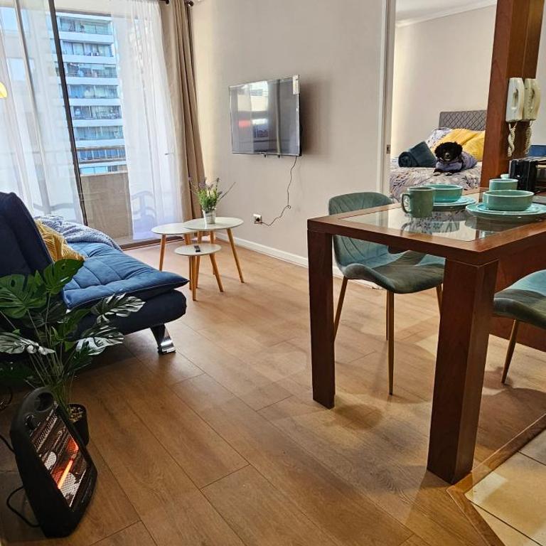 Depto Santiago centro casco histórico, wifi y metro - One-Bedroom Apartment - 5
