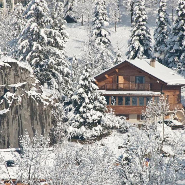 Three-star apartment in a family chalet - Three-Bedroom Apartment - 1