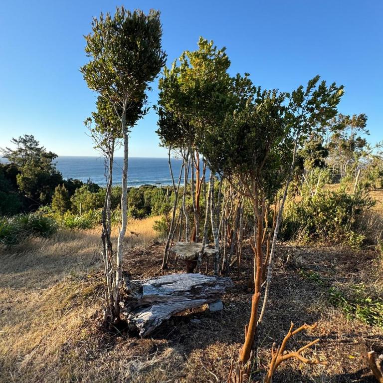 Casa frente al mar - Casa de 3 dormitorios - 5