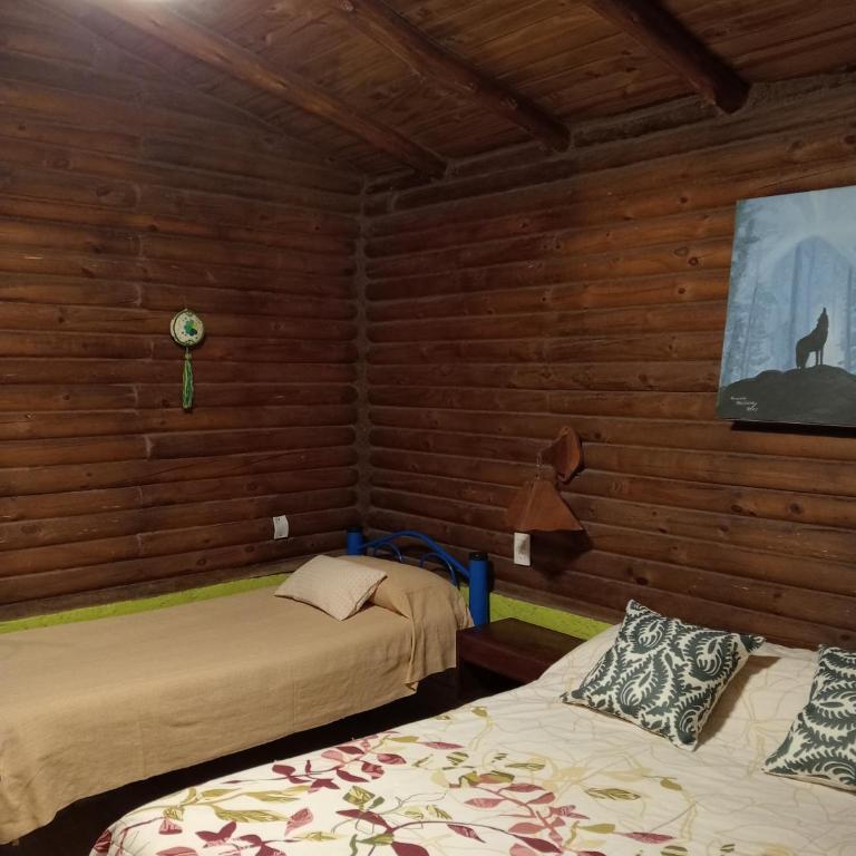 Peumayen Cabañas - Chalet de 2 dormitorios - 3