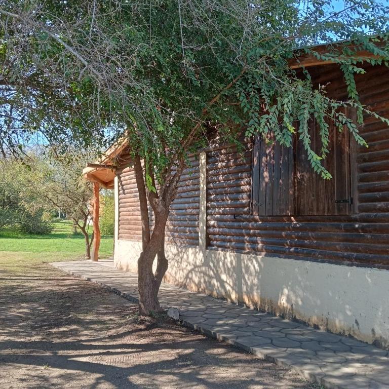 Peumayen Cabañas - Chalet de 2 dormitorios - 9