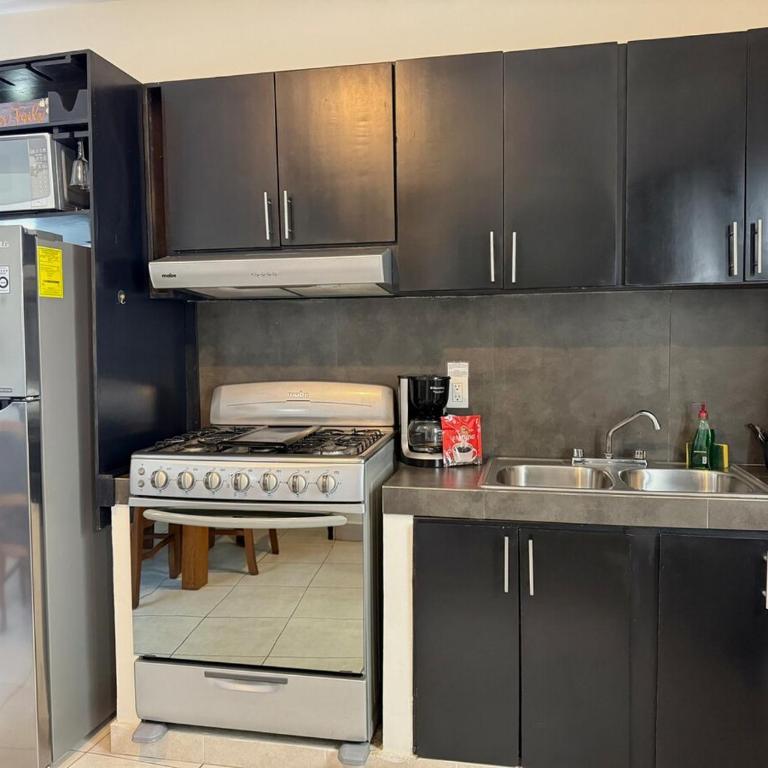 Suite en el corazón de la Zona Dorada - One-Bedroom Apartment - 1