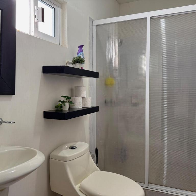 Suite en el corazón de la Zona Dorada - One-Bedroom Apartment - 15